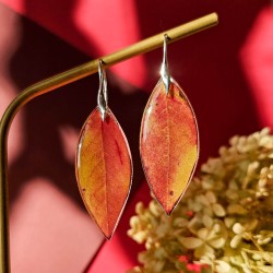 boucles d'oreilles...