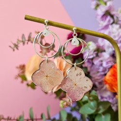 hortensia rose boucles...