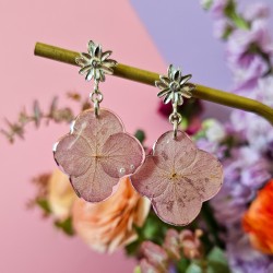 hortensia rose boucles...