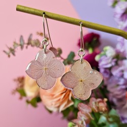 hortensia rose boucles...