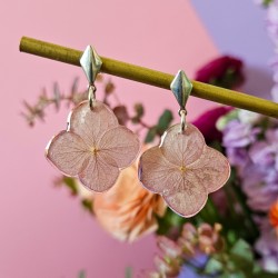 hortensia rose boucles...