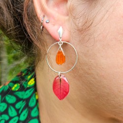 bougainvillier boucles...