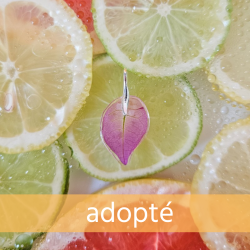 bougainvillier pendentif