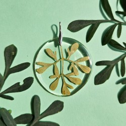 rue officinale pendentif