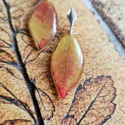 boucles d'oreilles...