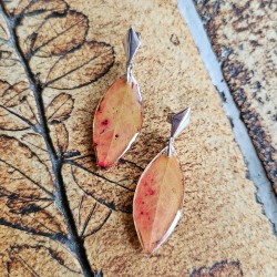 boucles d'oreilles...