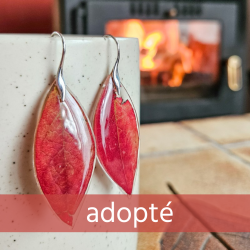 boucles d'oreilles...