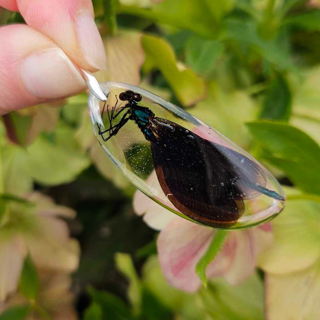 pendentif libellule.jpg